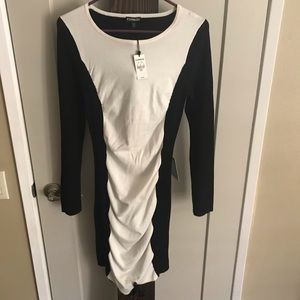 NWT Express Sweater Dress